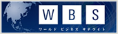 WBS